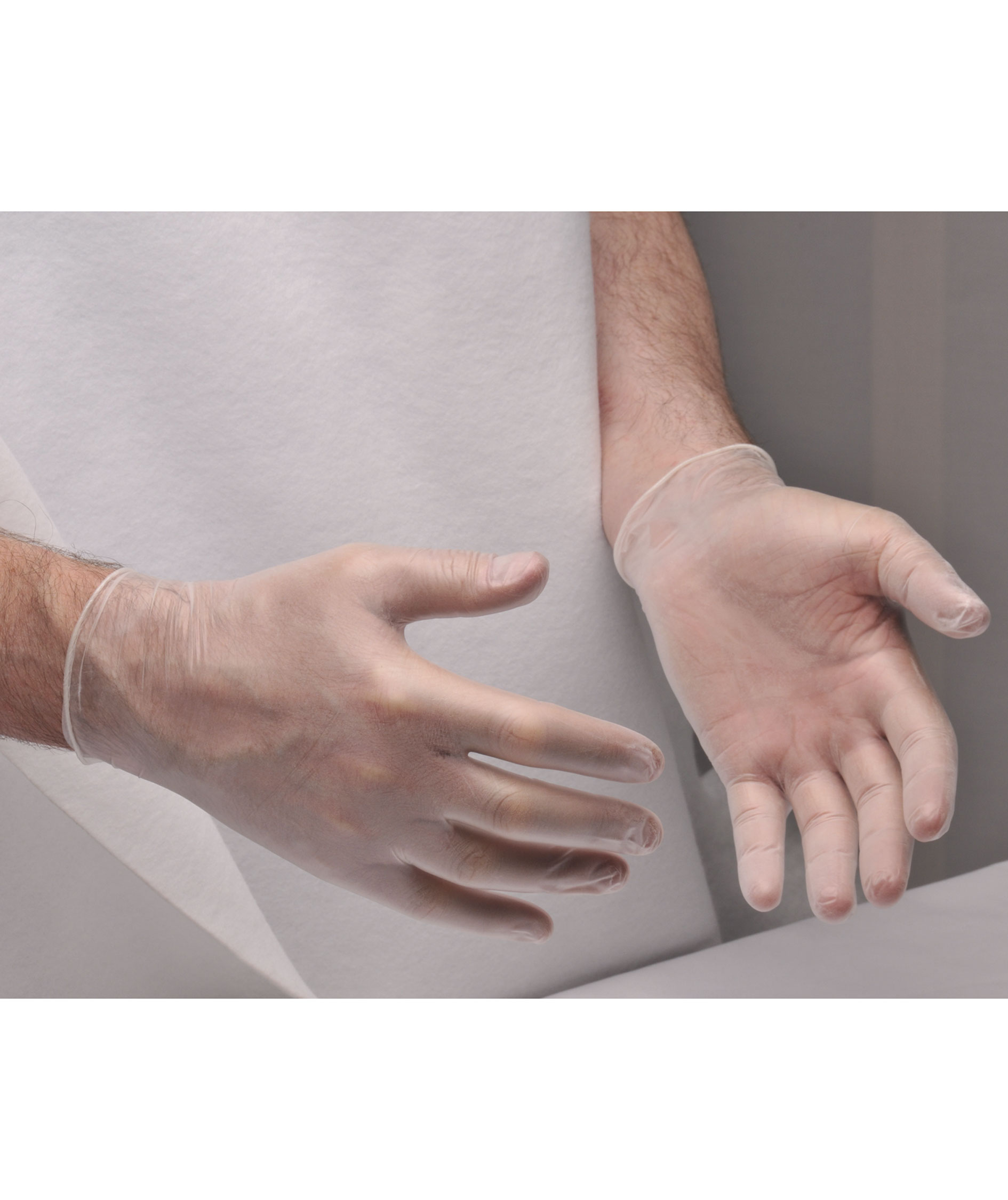 Portwest A900 vinyl Disposable gloves with powder 100 pcs., Transparent, large image number 2