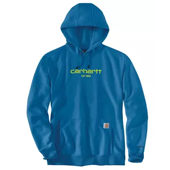 Carhartt Force Graphic hoodie, Marine Blue