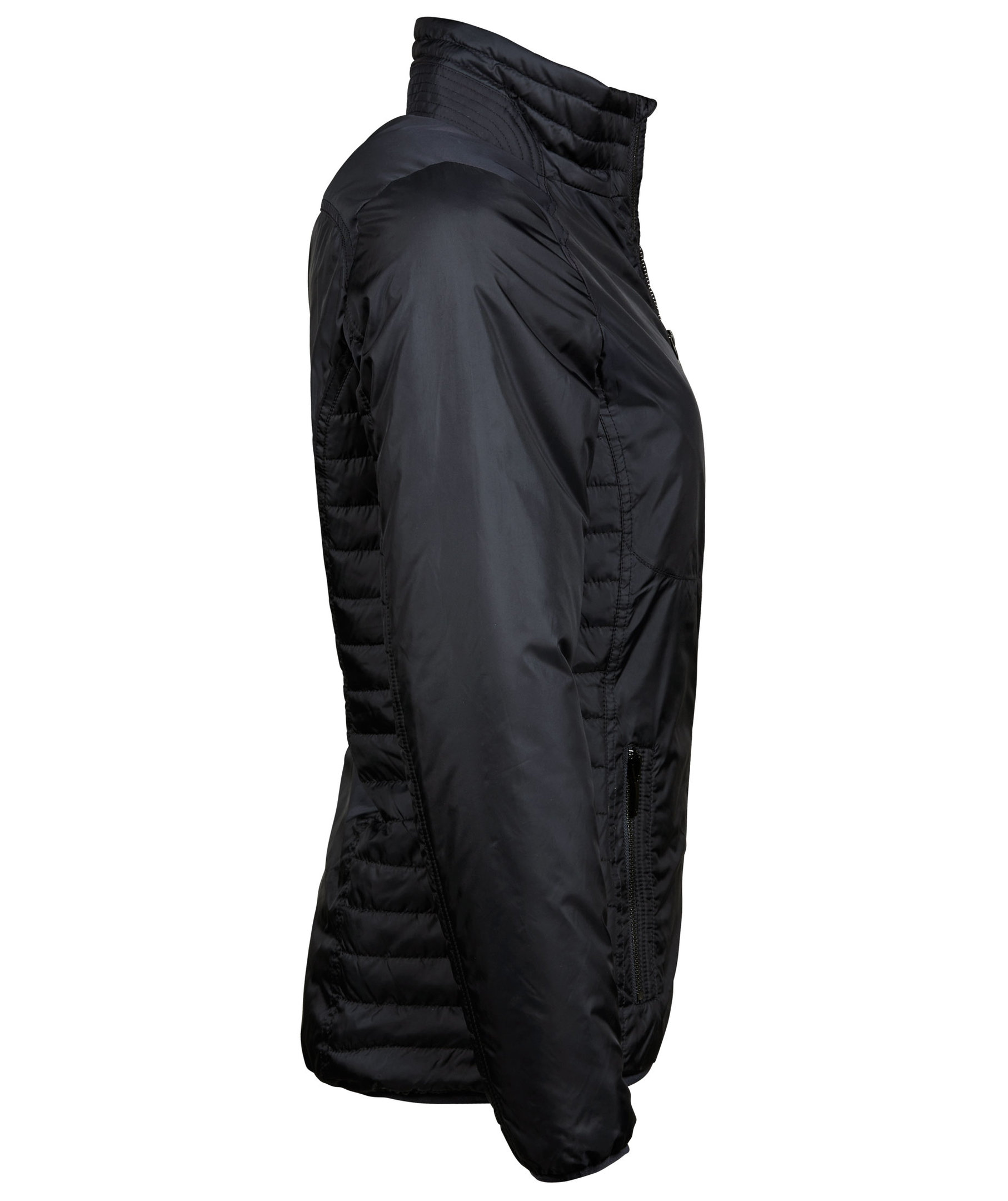 Tee Jays Newport jacka dam, Svart, large image number 5