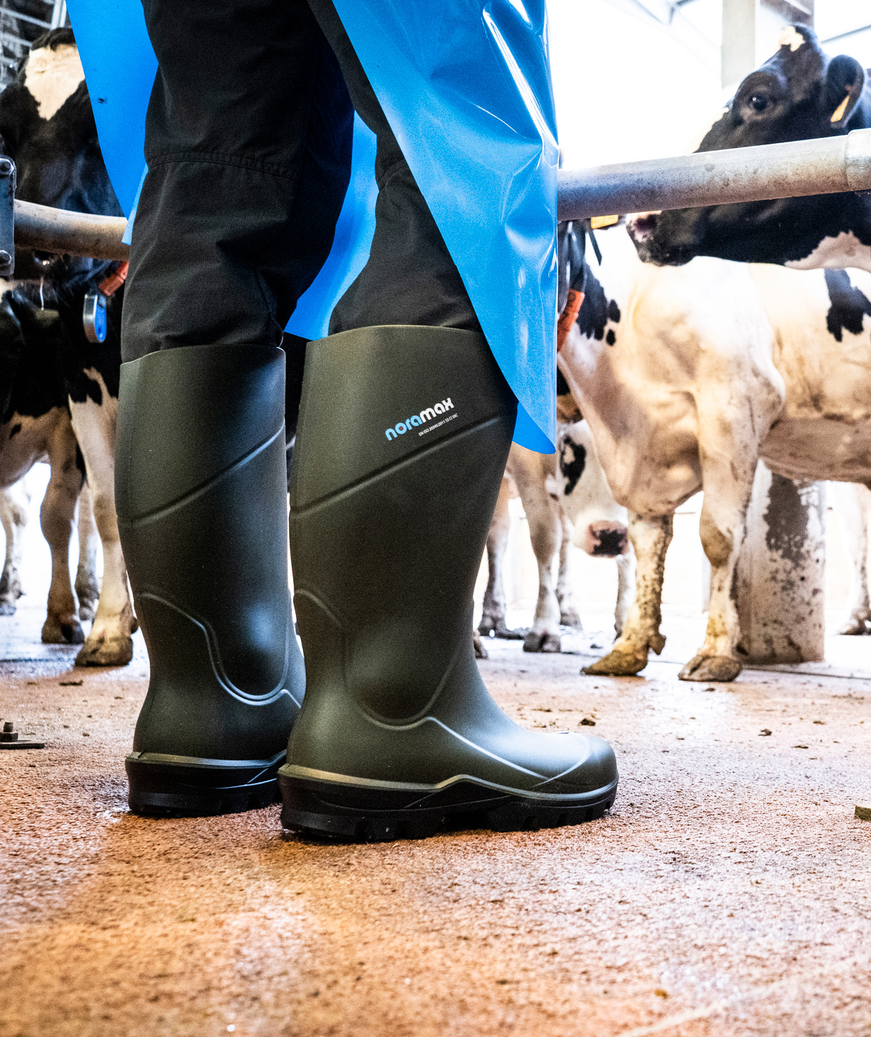 NoraMax PRO skyddsgummist&ouml;vlar S5, Gr&ouml;n, large image number 2