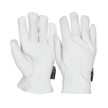 OS Driver Pro leather gloves with lining, White
