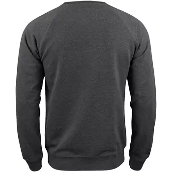 Clique Premium OC collegetröja/sweatshirt, Antracitgrå