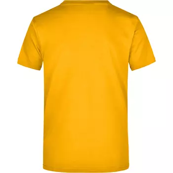 James & Nicholson T-shirt Round-T Heavy