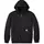 Carhartt Rain Defender hoodie, Black, Black, swatch