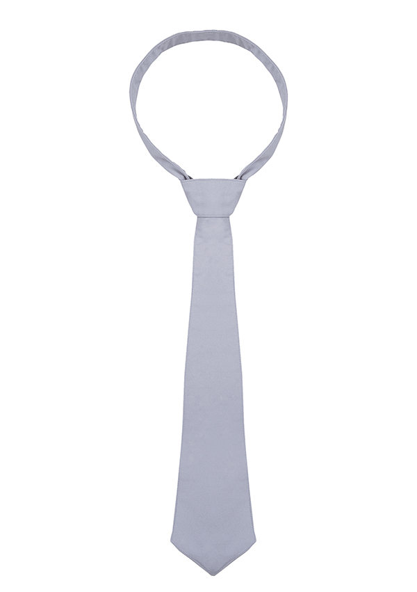 Karlowsky tie, Light Grey, Light Grey, swatch