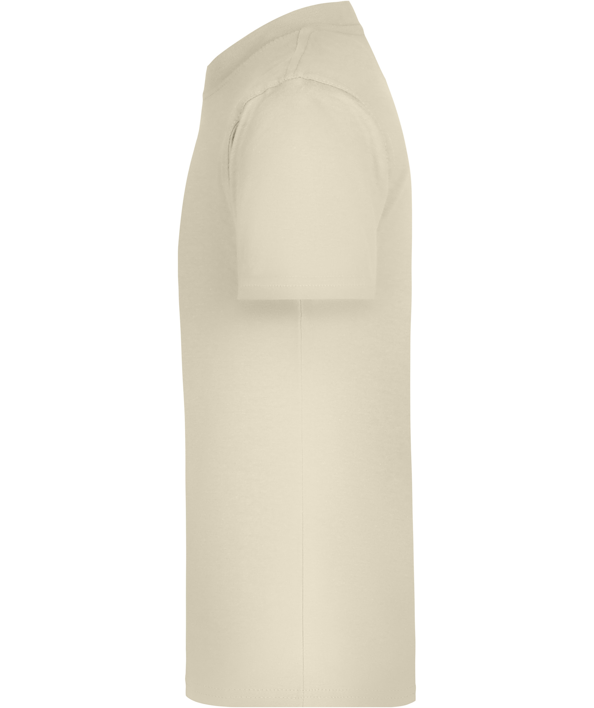 James & Nicholson Junior Basic-T T-shirt for kids, Stone, large image number 4