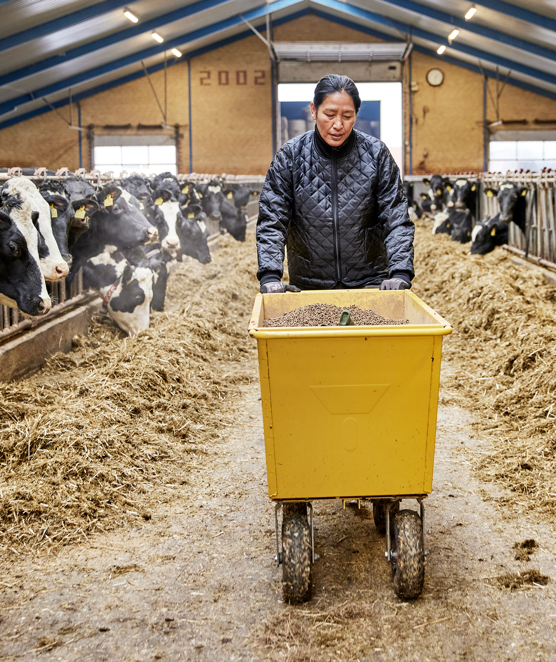 ELKA women's thermal jacket