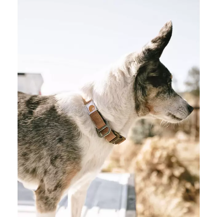 Carhartt Journeyman Hundehalsband, Carhartt Brown, large image number 1