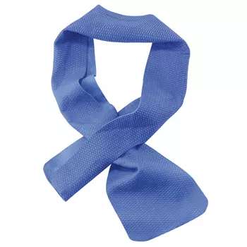 Ergodyne Chill-Its 6603 cooling scarf, Blue