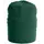 ProJob beanie 9037, Forest Green, Forest Green, swatch