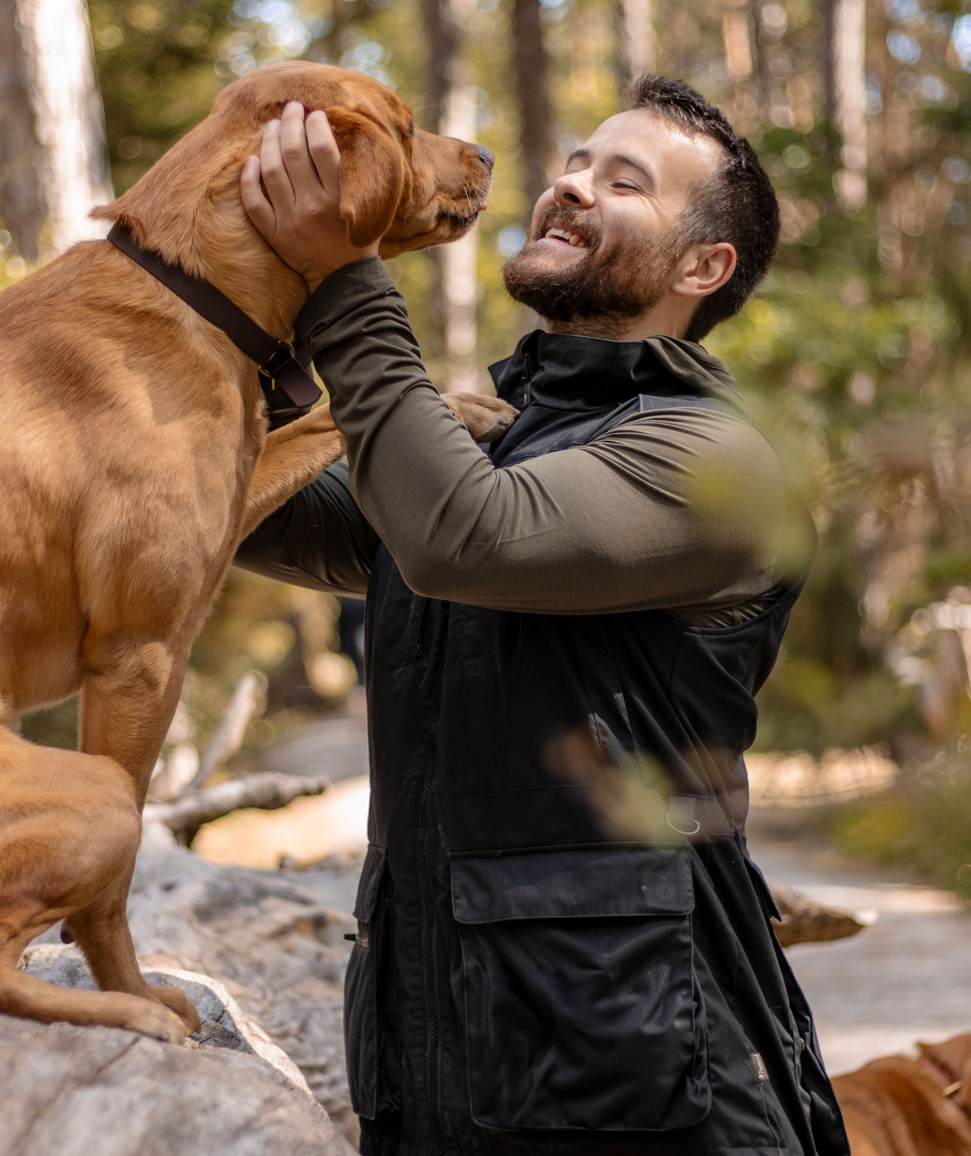 Pinewood&nbsp;Dog Sports Trainer vest, Sort, large image number 4