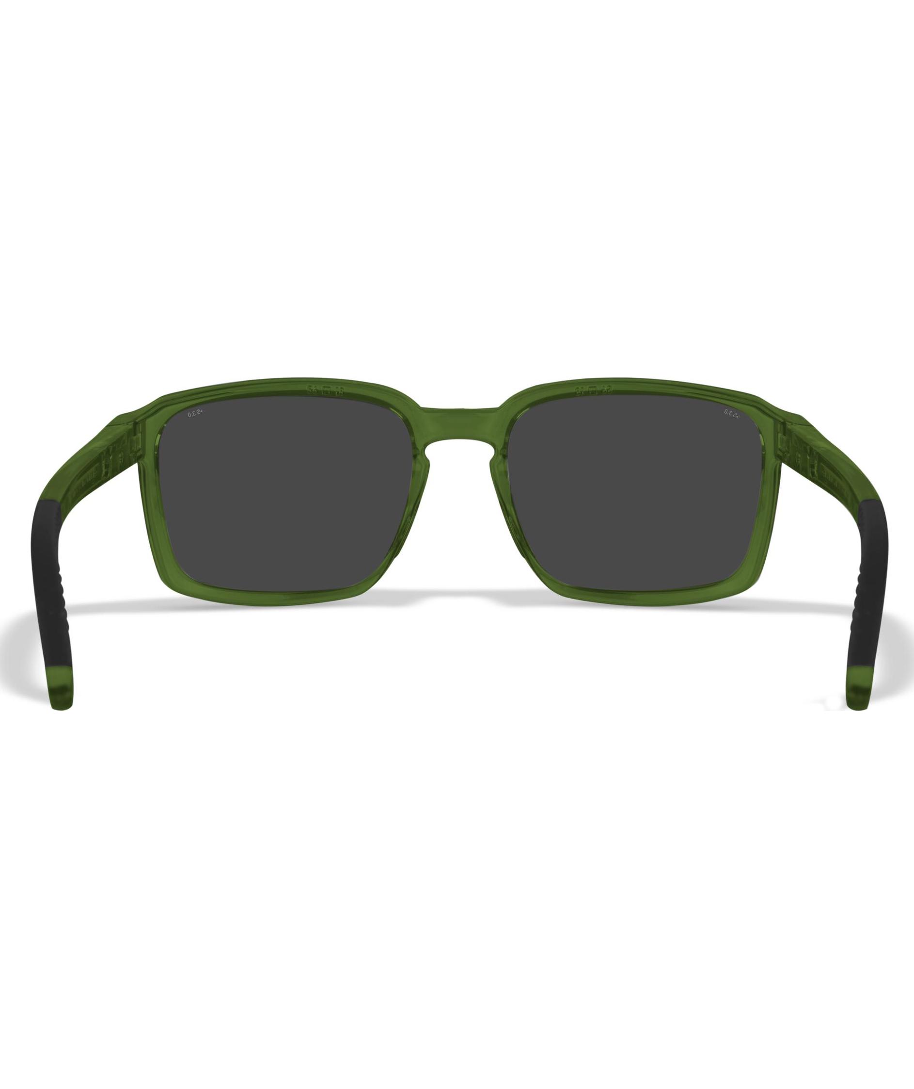 Wiley X Alfa sunglasses