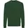 Iqoniq Zion Sweatshirt, Forest green, Forest green, swatch