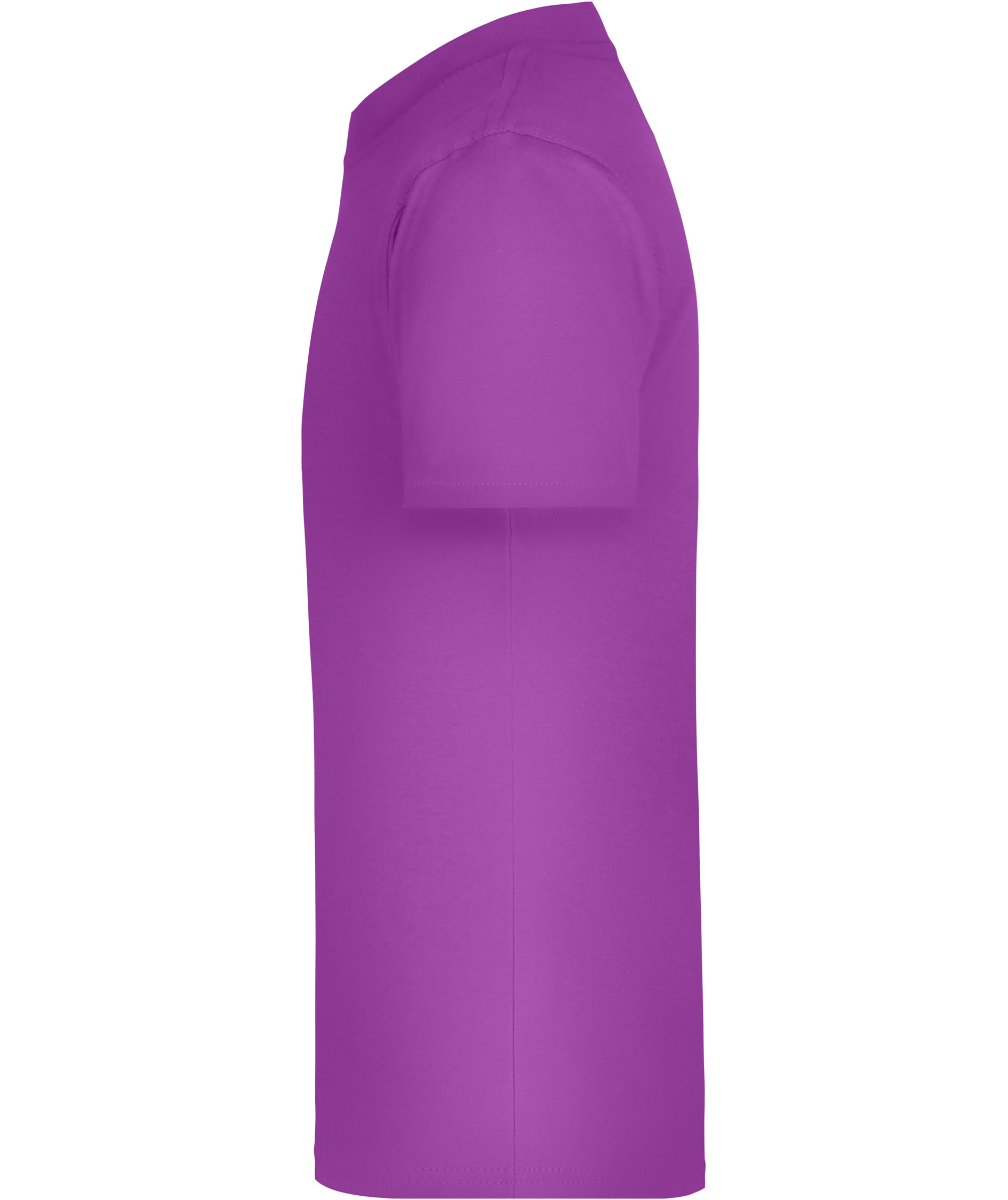 James & Nicholson Junior Basic-T T-shirt til b&oslash;rn, Purple, large image number 3