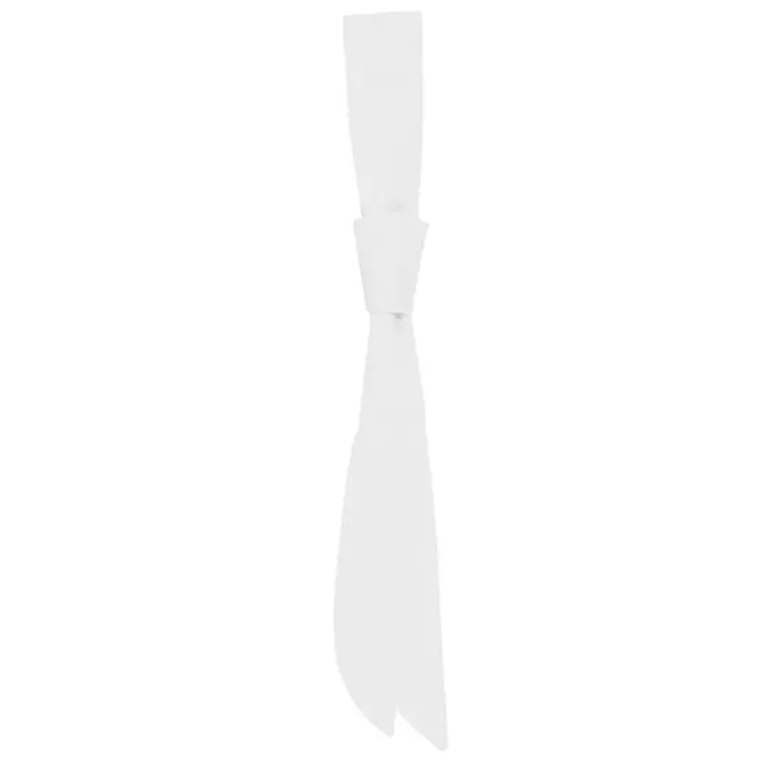 Karlowsky tie, White, White, large image number 0