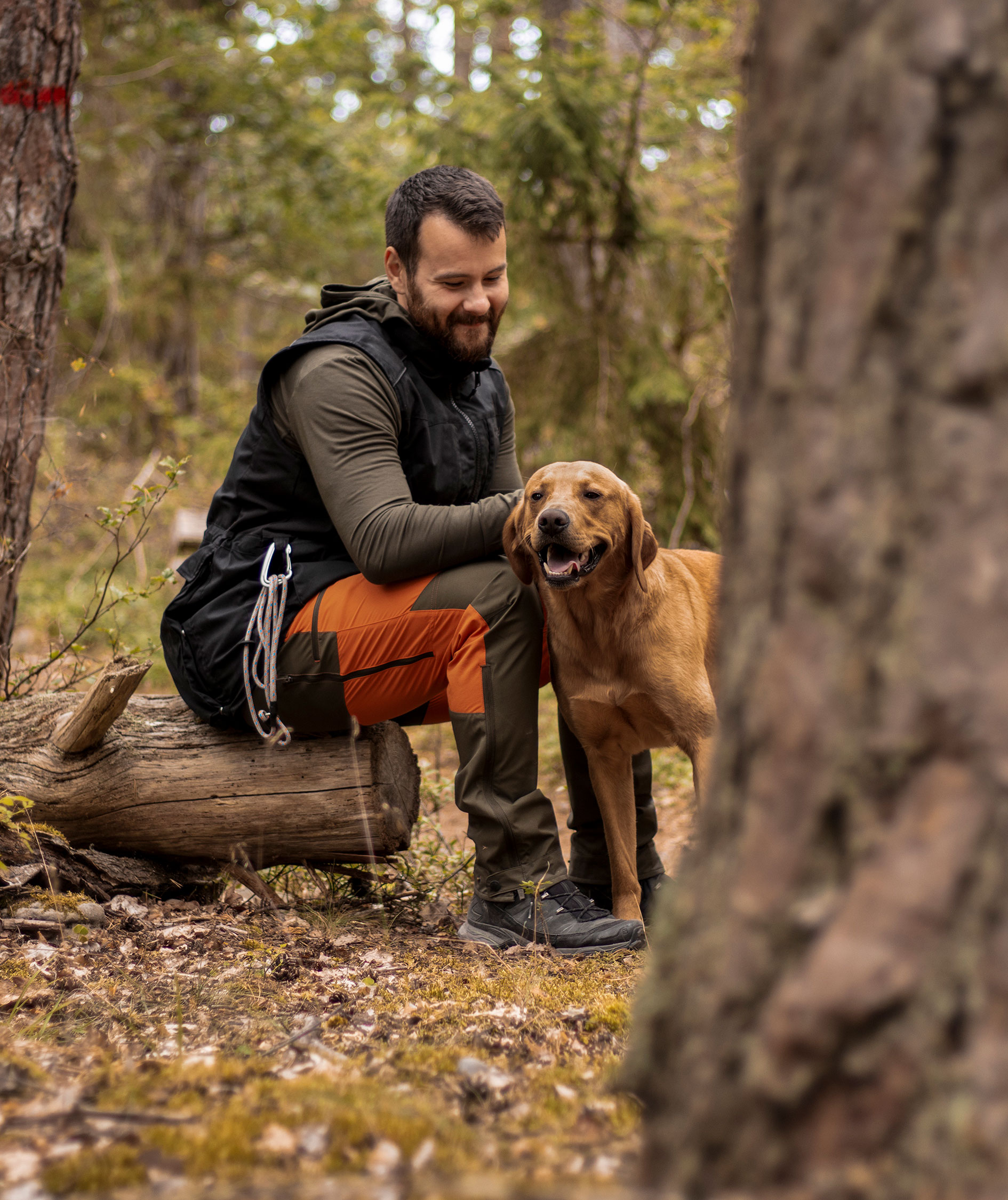 Pinewood&nbsp;Dog Sports Trainer vest, Sort, large image number 3
