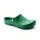 Birkenstock Klassik Birki Regular Fit women's clogs, Green, Green, swatch