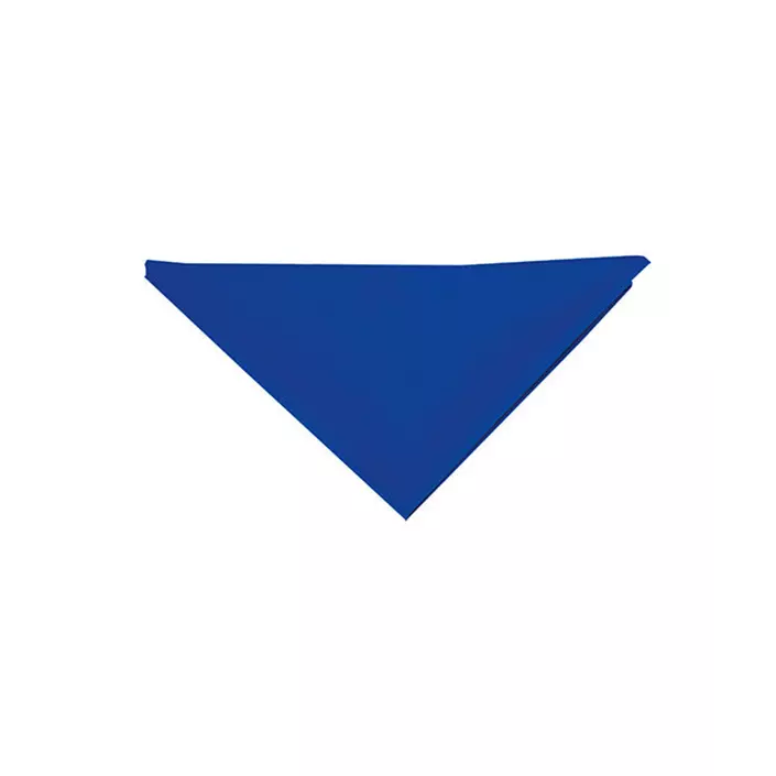 Karlowsky scarf, Blue, Blue, large image number 0