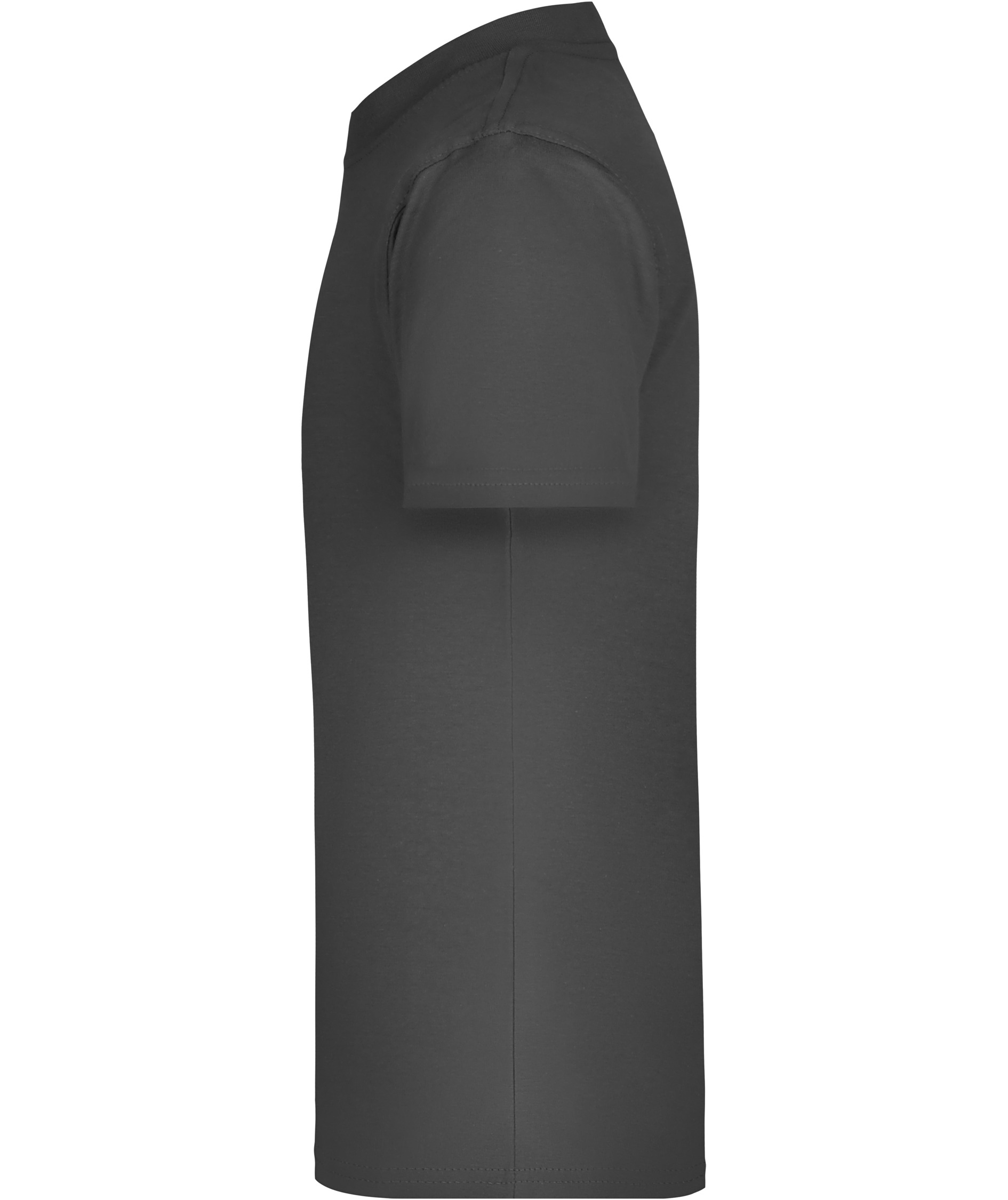 James & Nicholson Junior Basic-T T-shirt til b&oslash;rn, Graphite, large image number 3