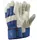 Tegera 206 winter work gloves, Blue/Nature, Blue/Nature, swatch