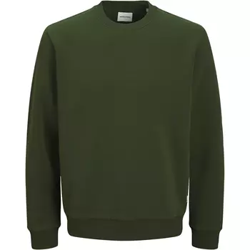 Jack & Jones Plus JJEBRADLEY sweatshirt