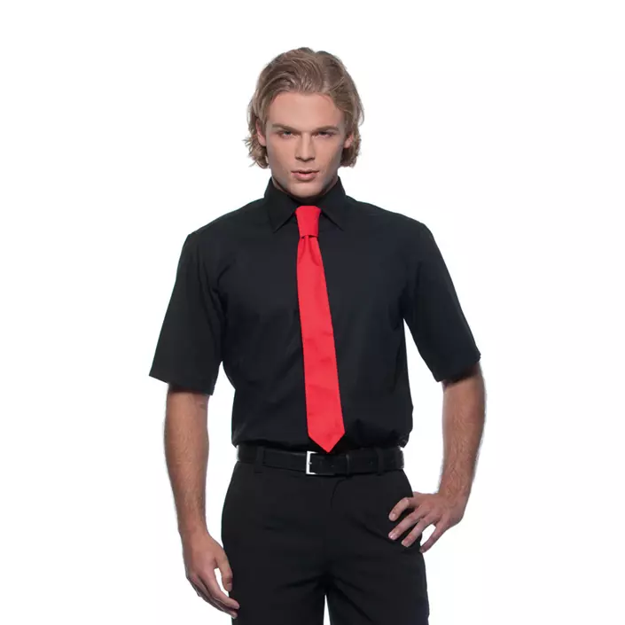 Karlowsky tie, Red, Red, large image number 1