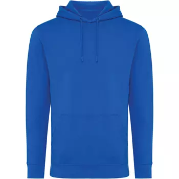 Iqoniq Jasper hoodie