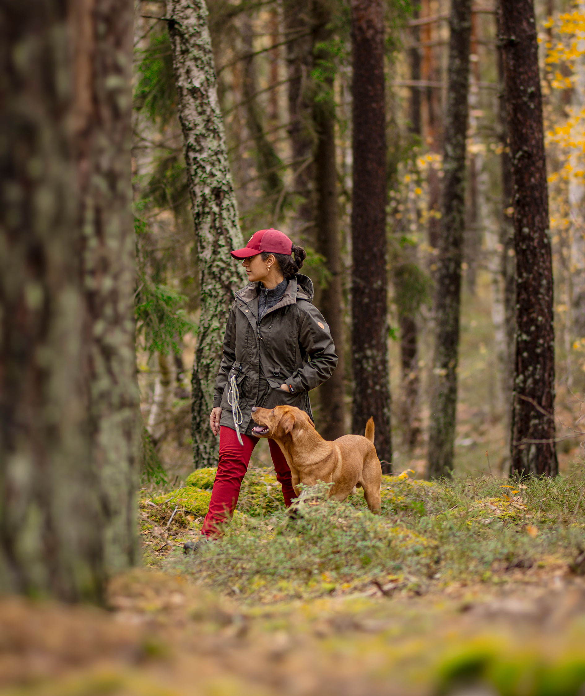 Pinewood&nbsp;Dog Sports Trainer Extreme damejakke