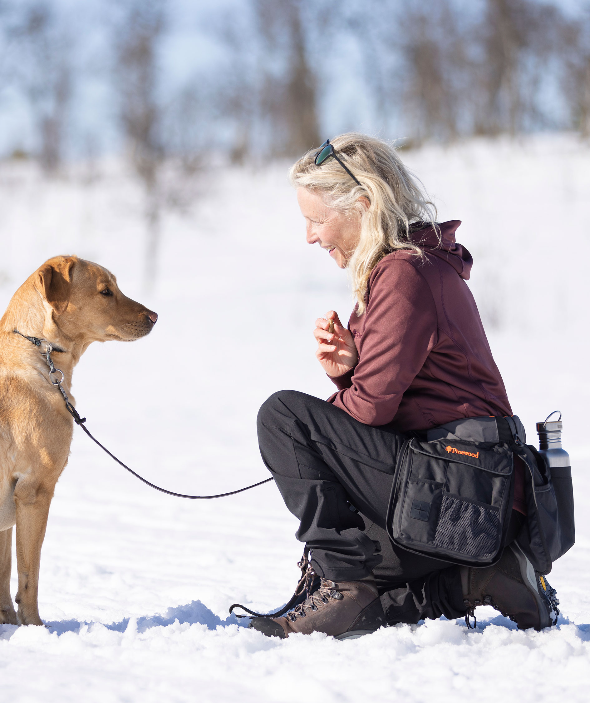 Pinewood Wilda Stretch dame skalbukser, Sort, large image number 10