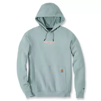 Carhartt Force Graphic hoodie, Blue Surf