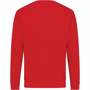 Iqoniq Zion Sweatshirt