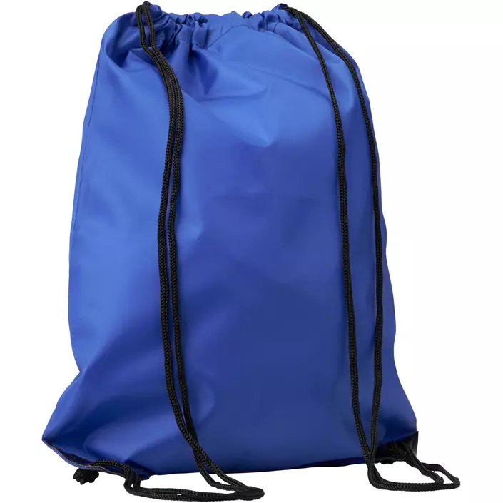 ID gymbag, Royal Blue, Royal Blue, large image number 1