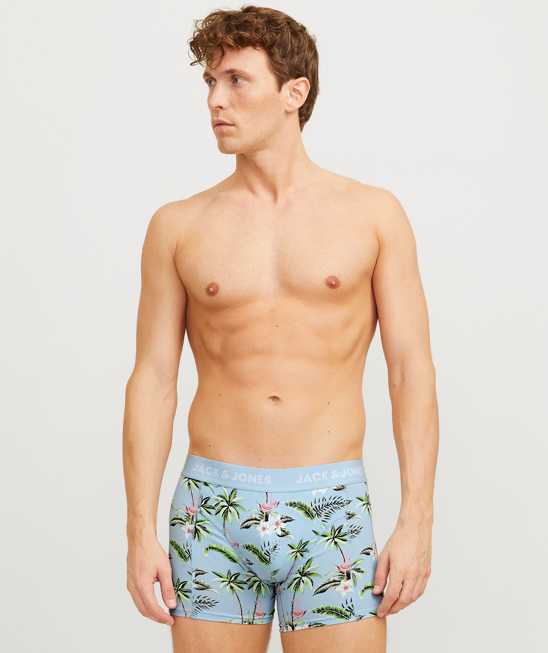 Jack & Jones JACFLOWER BIRD 3-pack boxer shorts, Chambray Blue, large image number 8
