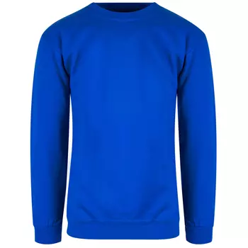 Blue Rebel Jaguar collegetröja/sweatshirt, Kornblå