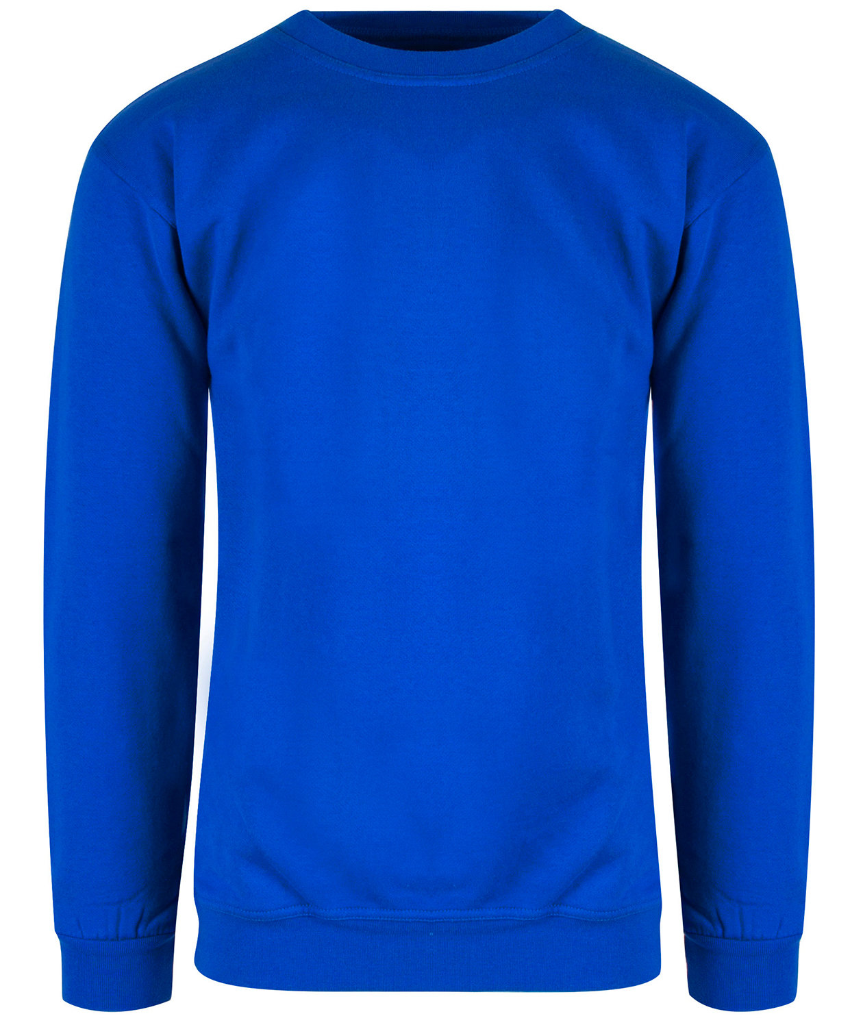 Blue Rebel Jaguar  sweatshirt, Cornflower Blue, Cornflower Blue, swatch