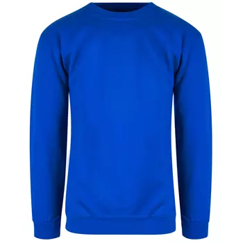 Blue Rebel Jaguar  Sweatshirt, Kornblumenblau