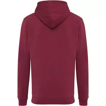 Iqoniq Jasper hoodie