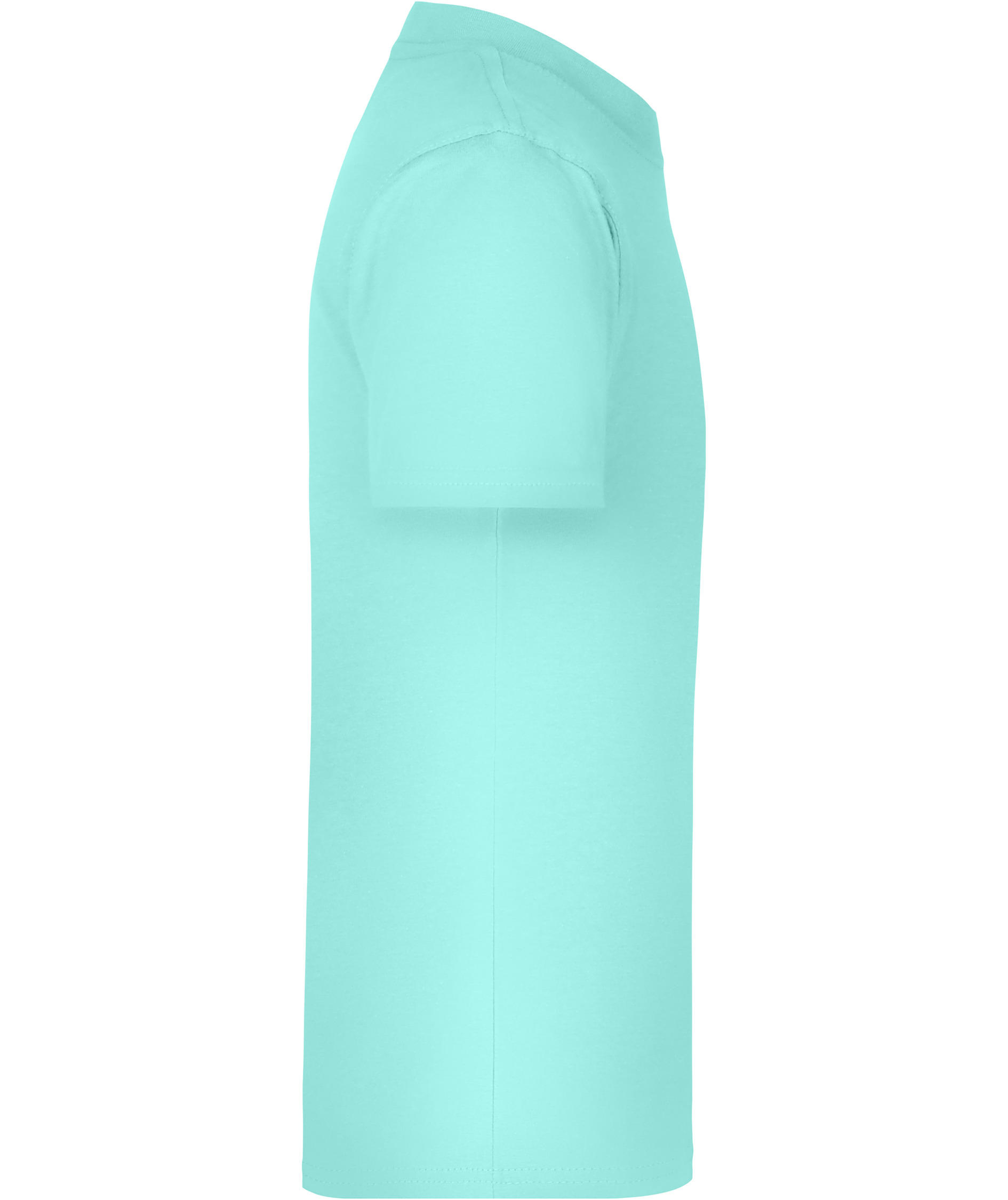 James & Nicholson Junior Basic-T T-shirt til b&oslash;rn, Mint, large image number 2