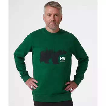 Helly Hansen sweatshirt, Grön