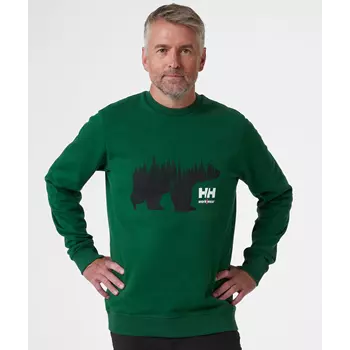 Helly Hansen sweatshirt, Grøn