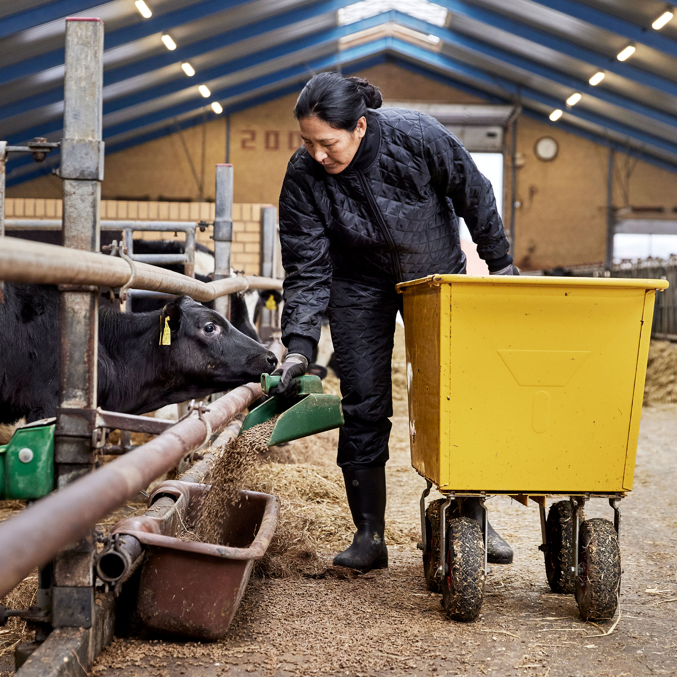 ELKA termobyxa dam, Svart, Svart, large image number 3