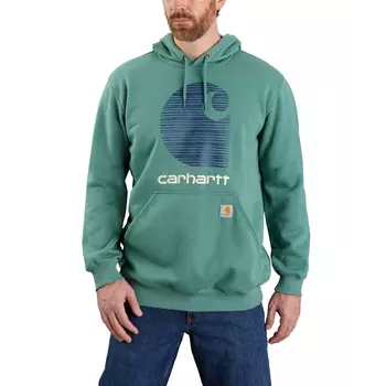 Carhartt Rain Defender Logo hoodie, Slate Green