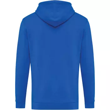 Iqoniq Jasper hoodie