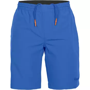 Pinewood Finnveden Sports Light shorts