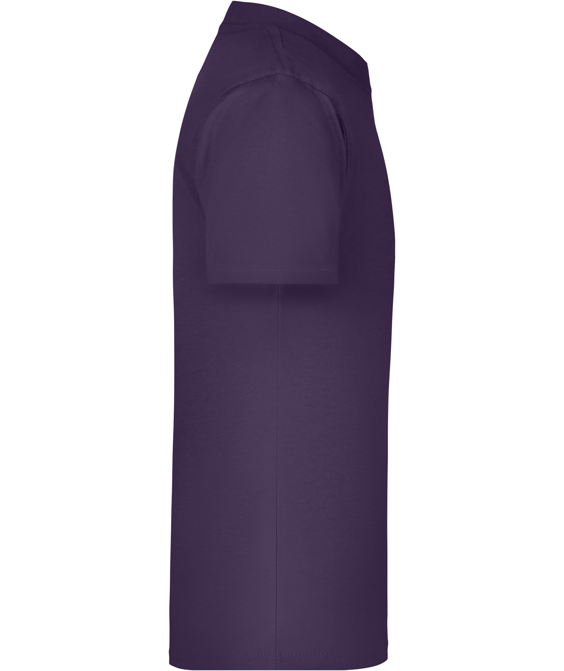 James & Nicholson Junior Basic-T T-shirt till barn, Aubergine, large image number 2