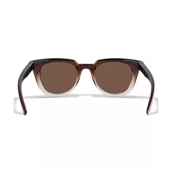 Wiley X Ultra Sonnenbrillen, Braun/Transparent
