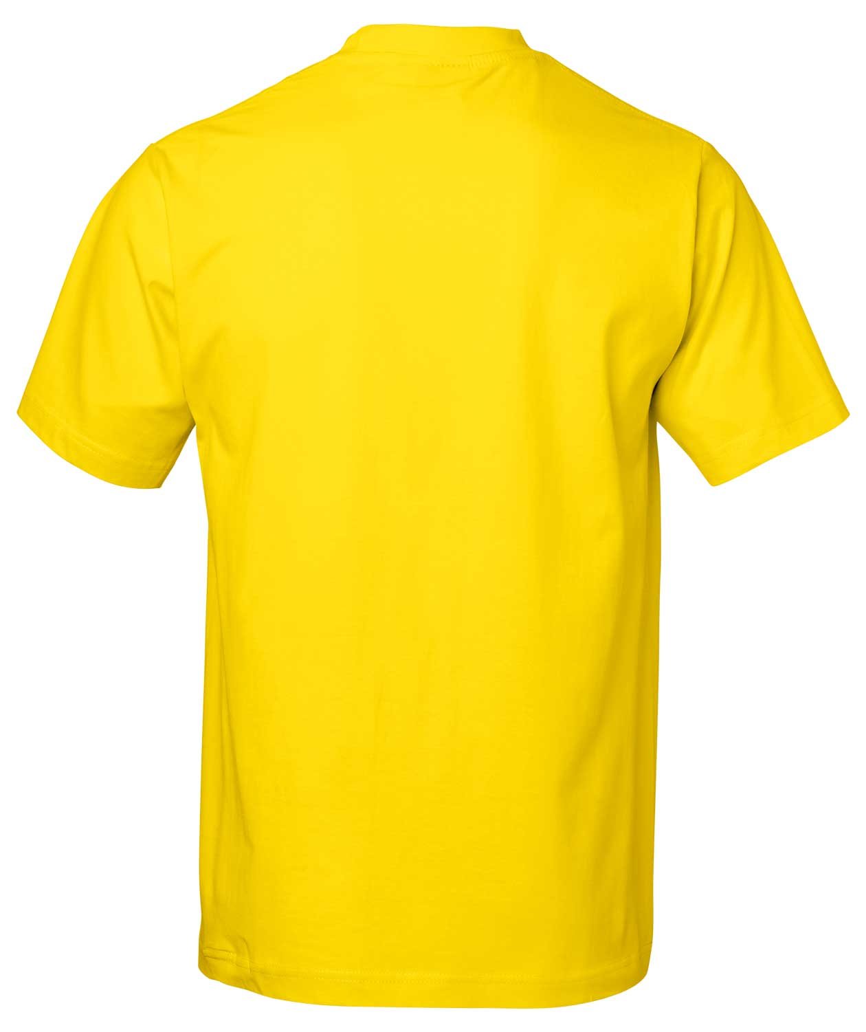South West Kings &oslash;kologisk T-shirt til b&oslash;rn, Blazing Yellow, large image number 2