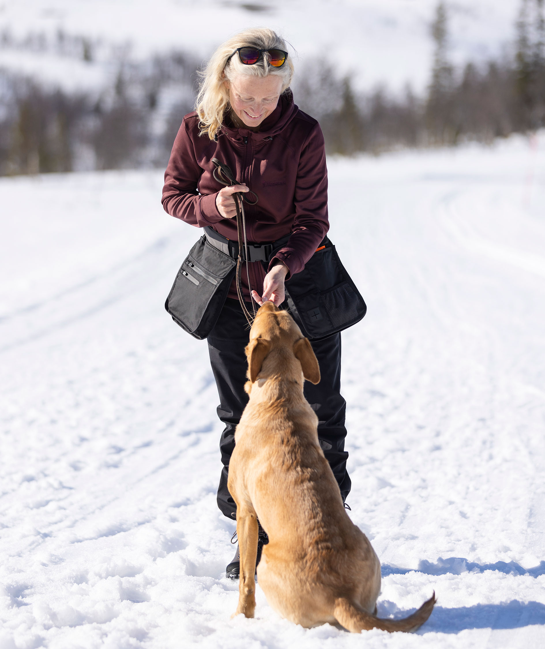 Pinewood Dog Sports Utility b&aelig;lte