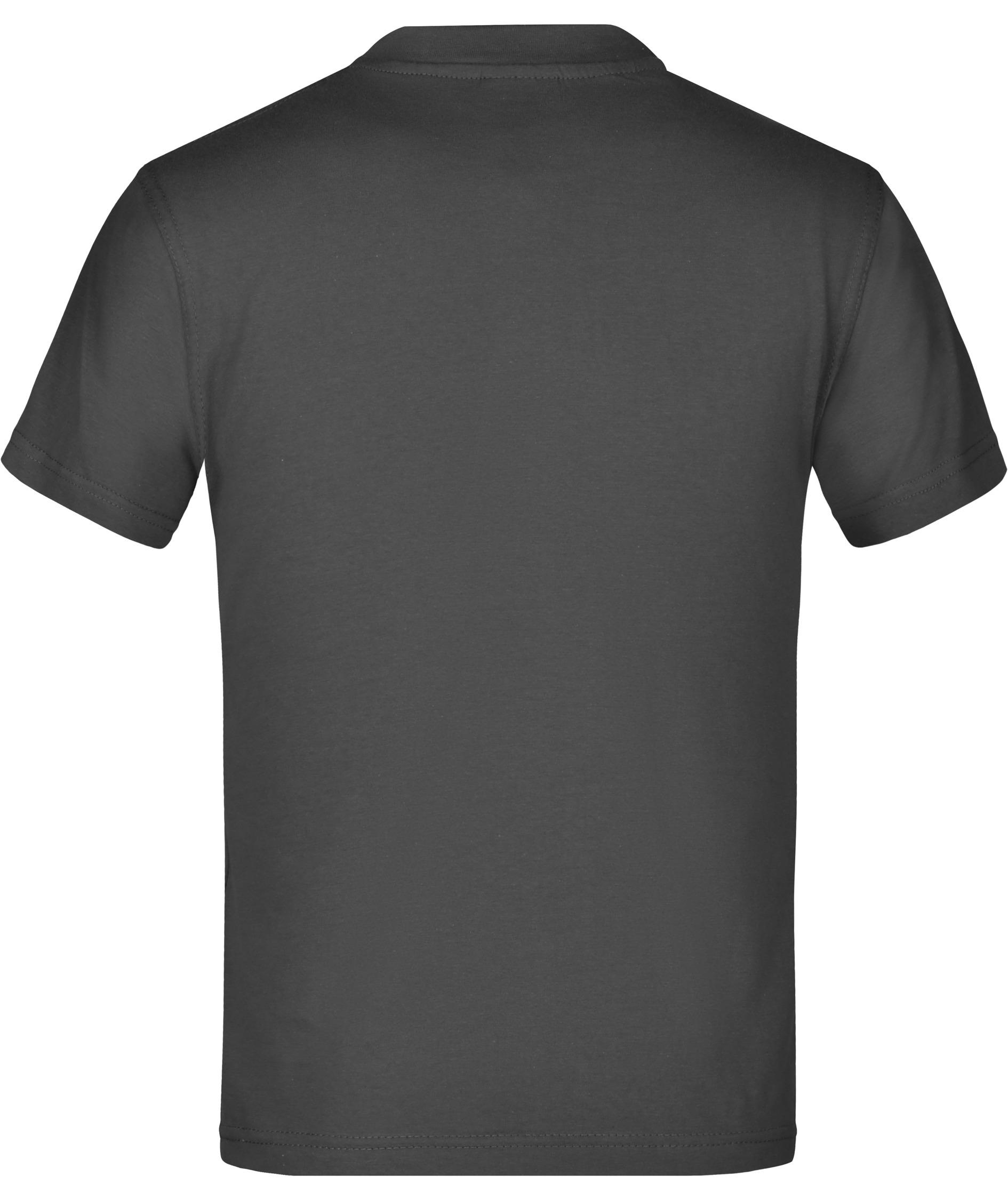 James & Nicholson Junior Basic-T T-shirt til b&oslash;rn