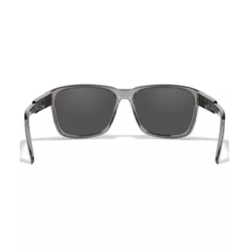 Wiley X Trek solbriller, Grå/Blå